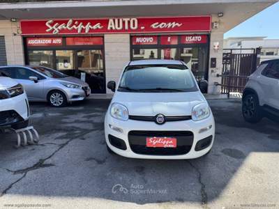 Fiat Panda Panda 1.2 Easy Bianco usata Fonte Nuova