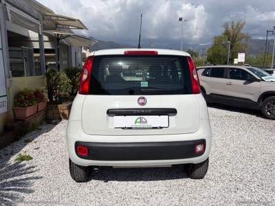 Fiat Panda Panda 0.9 TwinAir Turbo Nat. Pow. Lounge Bianco usata Massa