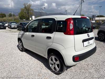 Fiat Panda Panda 0.9 TwinAir Turbo Nat. Pow. Lounge Bianco usata Massa