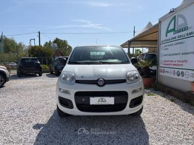 Fiat Panda Panda 0.9 TwinAir Turbo Nat. Pow. Lounge Bianco usata Massa