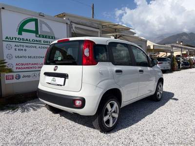 Fiat Panda Panda 0.9 TwinAir Turbo Nat. Pow. Lounge Bianco usata Massa