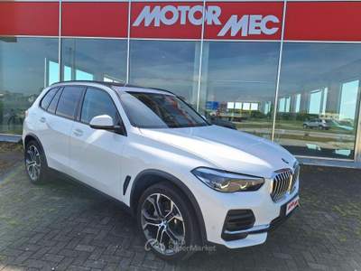 BMW X5 X5 G05 xdrive25d Business auto Pelle color Cognac, Tetto panoramico, Cerchi da 21 Bianco usata Altivole