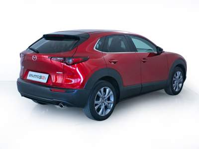 Mazda CX-30 2.0L Skyactiv-G 150cv M Hybrid Exceed Bose Sound Pack/Head-up Display/Monitor 360° Rosso usata Feltre