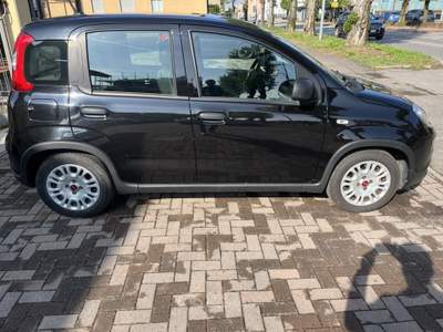 Fiat Panda FireFly S&S Hybrid Nero usata Seregno