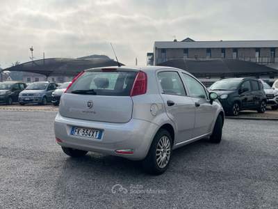 Fiat Punto 5p 1.2 Street 69CV / IDEALE PER NEOPATENTATI Argento usata TORINO