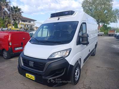 Fiat Ducato 2.2 Mjt3 140CV FRIGO STRADA RETE FRCX -20   ATP09/29 Bianco usata PIGNATARO INTERAMNA