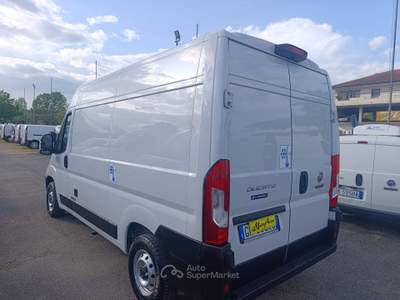 Fiat Ducato 2.2 Mjt3 140CV FRIGO STRADA RETE FRCX -20   ATP09/29 Bianco usata PIGNATARO INTERAMNA