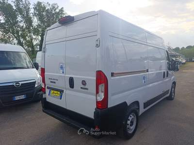 Fiat Ducato 2.2 Mjt3 140CV FRIGO STRADA RETE FRCX -20   ATP09/29 Bianco usata PIGNATARO INTERAMNA