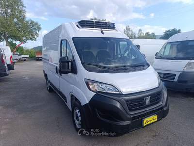 Fiat Ducato 2.2 Mjt3 140CV FRIGO STRADA RETE FRCX -20   ATP09/29 Bianco usata PIGNATARO INTERAMNA
