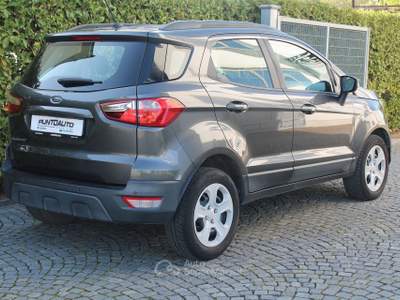 Ford EcoSport 1.0 Ecoboost 100cv Plus Grigio usata Cuneo