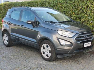 Ford EcoSport 1.0 Ecoboost 100cv Plus Grigio usata Cuneo