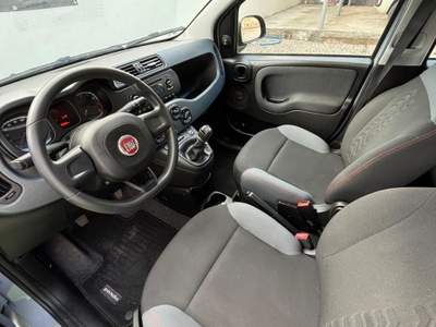 Fiat Panda Auto pari nuovo esclusa garanzia Grigio usata Saviano