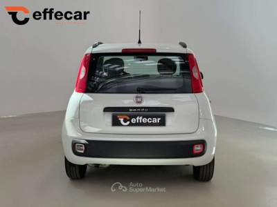 Fiat Panda 1.2 Lounge Bianco usata Roncadelle