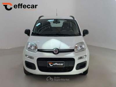 Fiat Panda 1.2 Lounge Bianco usata Roncadelle