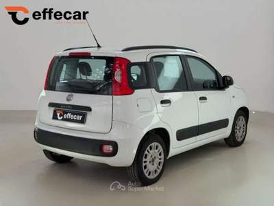 Fiat Panda 1.2 Lounge Bianco usata Roncadelle