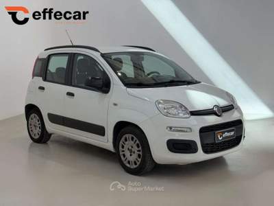 Fiat Panda 1.2 Lounge Bianco usata Roncadelle