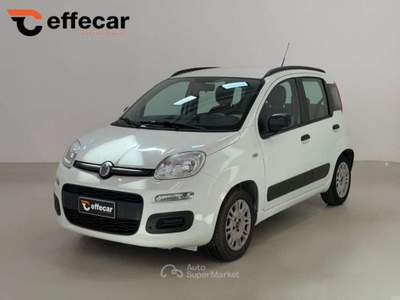 Fiat Panda 1.2 Lounge Bianco usata Roncadelle