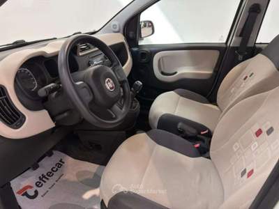 Fiat Panda 1.2 Lounge Bianco usata Roncadelle