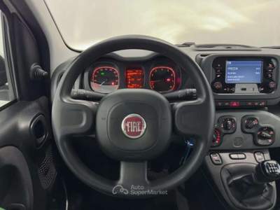 Fiat Panda 1.0 FireFly S&S Hybrid Bianco usata Roncadelle