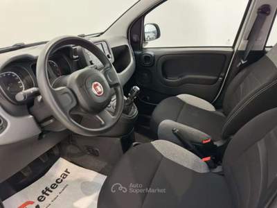 Fiat Panda 1.0 FireFly S&S Hybrid Bianco usata Roncadelle