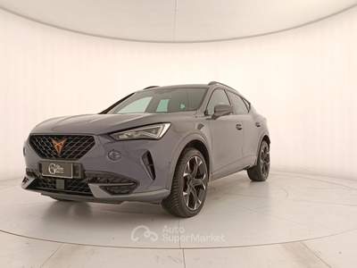 Cupra Formentor Formentor 2.0 tsi 4drive 190cv dsg Grigio usata Rivoli