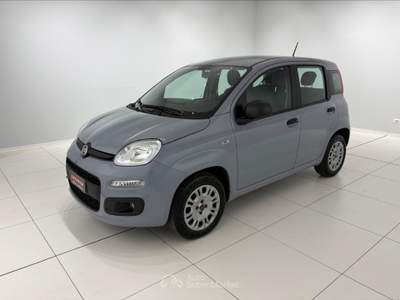 Fiat Panda Panda 1.2 easy s&s 69cv  Grigio usata Settimo Torinese
