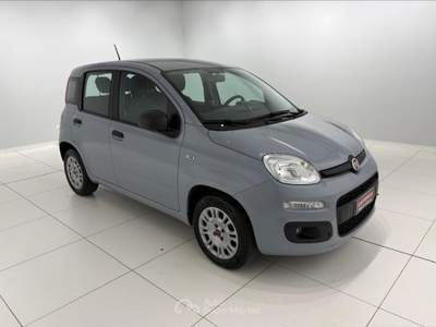 Fiat Panda Panda 1.2 easy s&s 69cv  Grigio usata Settimo Torinese