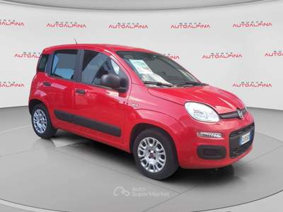Fiat Panda  - panda 1.2 lounge easypower gpl 69cv my19 Rosso usata Torino