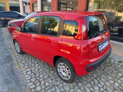 Fiat Panda PANDA HYBRID 5 POSTI Rosso usata Colleferro