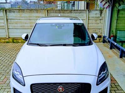 Jaguar E-Pace R-DINAMIC Bianco usata Carignano