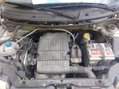 Fiat Panda affidabile amica Bianco usata Vetto