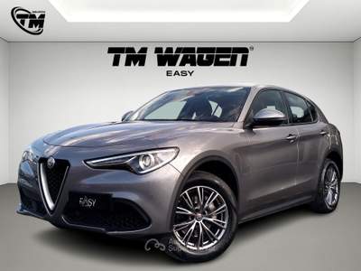 Alfa Romeo Stelvio Alfa Romeo Stelvio 2.0 t Super Q4 200cv Grigio usata Pistoia