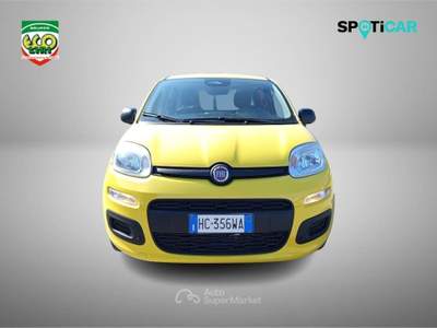 Fiat Panda 1.0 FireFly S&S Hybrid Pop Giallo usata Cassino