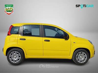 Fiat Panda 1.0 FireFly S&S Hybrid Pop Giallo usata Cassino