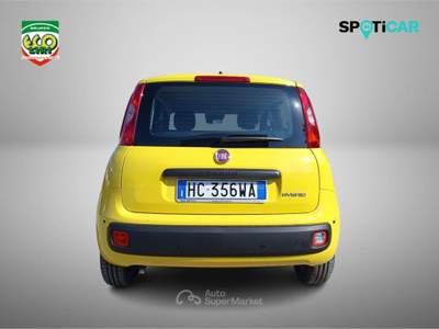 Fiat Panda 1.0 FireFly S&S Hybrid Pop Giallo usata Cassino