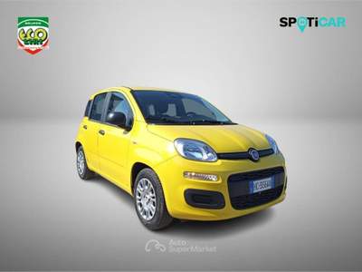 Fiat Panda 1.0 FireFly S&S Hybrid Pop Giallo usata Cassino