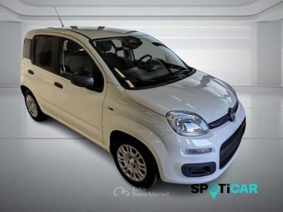 Fiat Panda Pandina Van Pop 1.0 Hybrid 65cv S&S -2 Posti Bianco usata BOLOGNA
