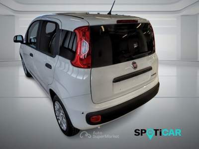 Fiat Panda Pandina Van Pop 1.0 Hybrid 65cv S&S -2 Posti Bianco usata BOLOGNA