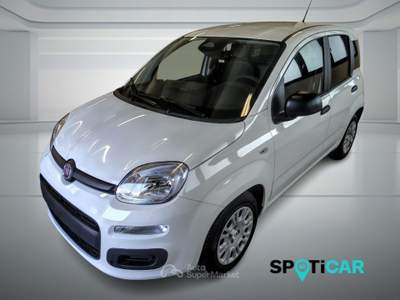 Fiat Panda Pandina Van Pop 1.0 Hybrid 65cv S&S -2 Posti Bianco usata BOLOGNA