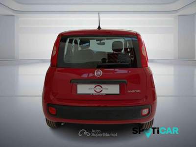 Fiat Panda 1.0 FireFly S&S Hybrid PANDINA ADAS Rosso usata BOLOGNA