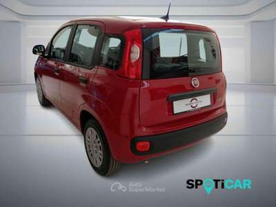 Fiat Panda 1.0 FireFly S&S Hybrid PANDINA ADAS Rosso usata BOLOGNA