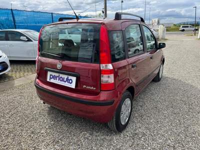 Fiat Panda 1.2 Dynamic Lilla usata Arezzo