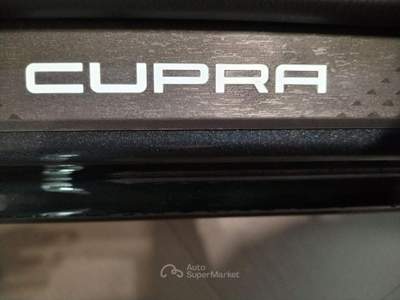 Cupra Formentor 2.0 TDI DSG Grigio usata Monteforte Irpino