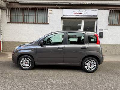 Fiat Panda Hybrid / Neopatentati / Tua da 175,00 € Grigio usata Roma