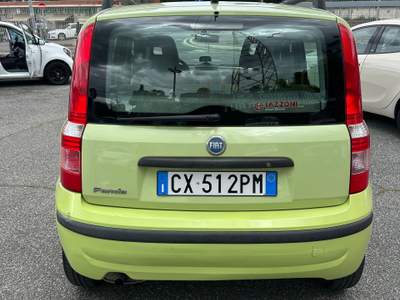 Fiat Panda neopatentati Verde usata Roma