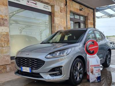 Ford Kuga EcoBlue 120 CV aut. 2WD ST-Line Grigio usata Altamura