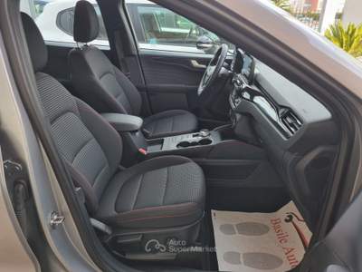 Ford Kuga EcoBlue 120 CV aut. 2WD ST-Line Grigio usata Altamura
