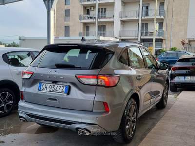 Ford Kuga EcoBlue 120 CV aut. 2WD ST-Line Grigio usata Altamura