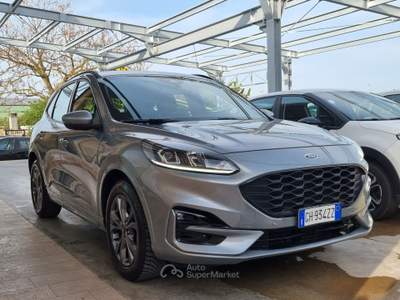 Ford Kuga EcoBlue 120 CV aut. 2WD ST-Line Grigio usata Altamura