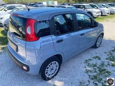 Fiat Panda 1.2 Easy Grigio usata Latina